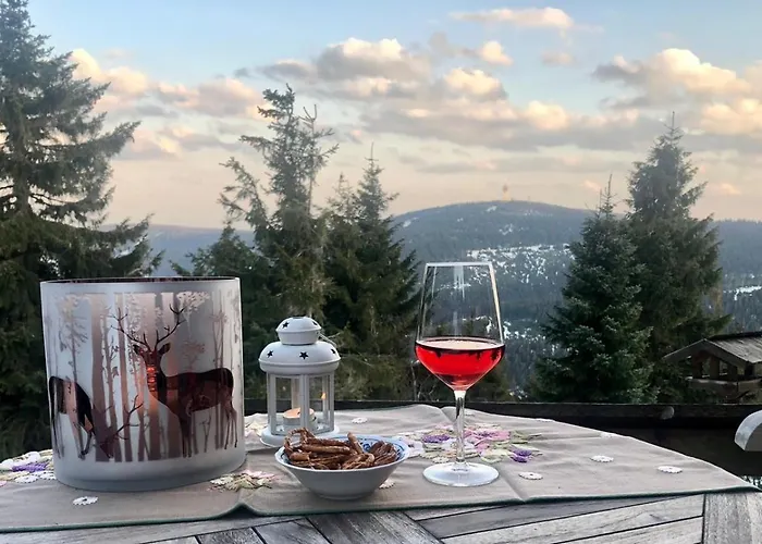 Дом отдыха Adlerhuette Курорт Обервизенталь